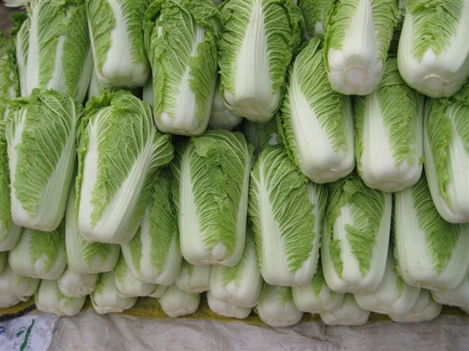 大白菜冷庫(kù)安裝好后儲(chǔ)藏需要做好哪些準(zhǔn)備工作？