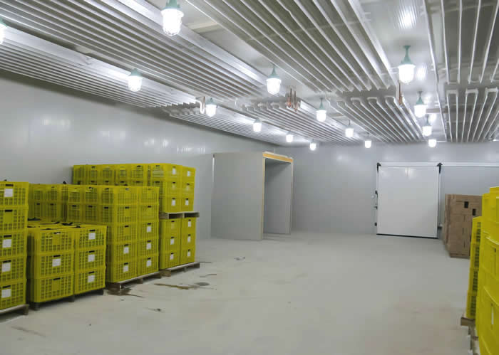 低溫冷庫溫度多少合適？是否越低越好